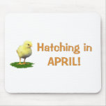 Hatching in April! Maternity/Pregnant Due In April Mouse Mats