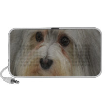 Havanese Speakers