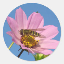 Have a sunshiny day sticker