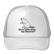 HAVE YOU SEEN MY BEAVER? MESH HAT