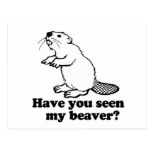 HAVE YOU SEEN MY BEAVER? POST CARDS