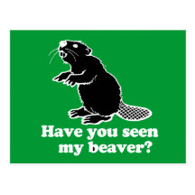 HAVE YOU SEEN MY BEAVER? POSTCARD