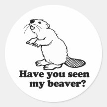 HAVE YOU SEEN MY BEAVER? STICKERS