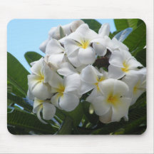 Hawaii Plumeria Flower Mouse Pad