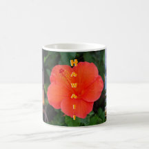 Hawaii Triptych Photograph Coffee Mugs