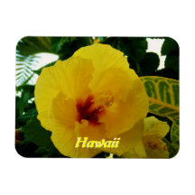 Hawaii Yellow Hibiscus Flexible Magnets