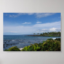 Hawaiian Coast Posters