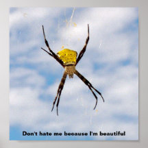 Hawaiian Garden Spider Poster