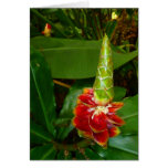Hawaiian Ginger Greeting Card