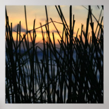hawaiian grass poster
