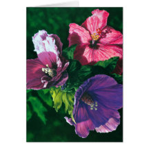 Hawaiian Hibiscus note cards