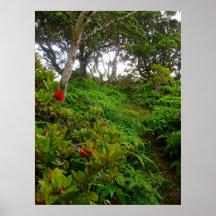 Hawaiian Hiking Trail Posters