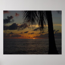 Hawaiian Ocean Print