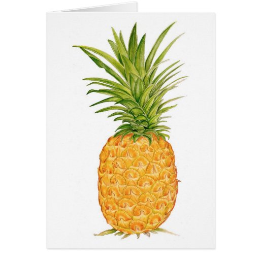 Hawaiian Pineapple Cards