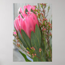 Hawaiian Protea Flowers Print