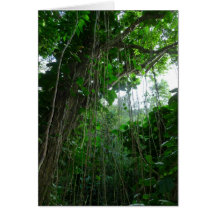 Hawaiian Rain Forest Cards