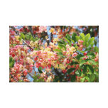 Hawaiian Shower Tree Wrapped Canvas Canvas Prints