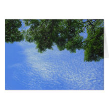 Hawaiian Sky Cards