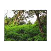Hawaiian Tropical Rain Forest Canvas Print