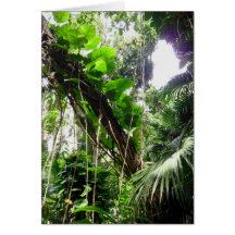 Hawaiian Tropical Rain Forest Cards