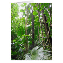 Hawaiian Tropical Rain Forest Greeting Card