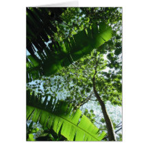Hawaiian Tropical Rain Forest Greeting Card