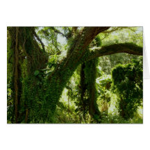 Hawaiian Tropical Rain Forest Greeting Card