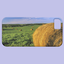 Hay Bales near Bottineau North Dakota casemate cases