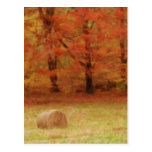 Hay Harvest In The Autumn Field Postcards