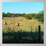 hay rolls scene 2 posters