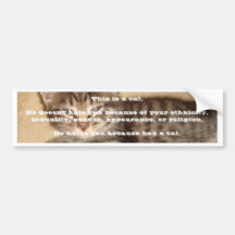 He Hates You Because He's a Cat Bumper Sticker