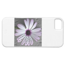 he loves me, and love me not iPhone 5 cases