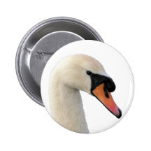 Head of Mute Swan Pinback Buttons