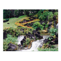 Healing Water Postcards