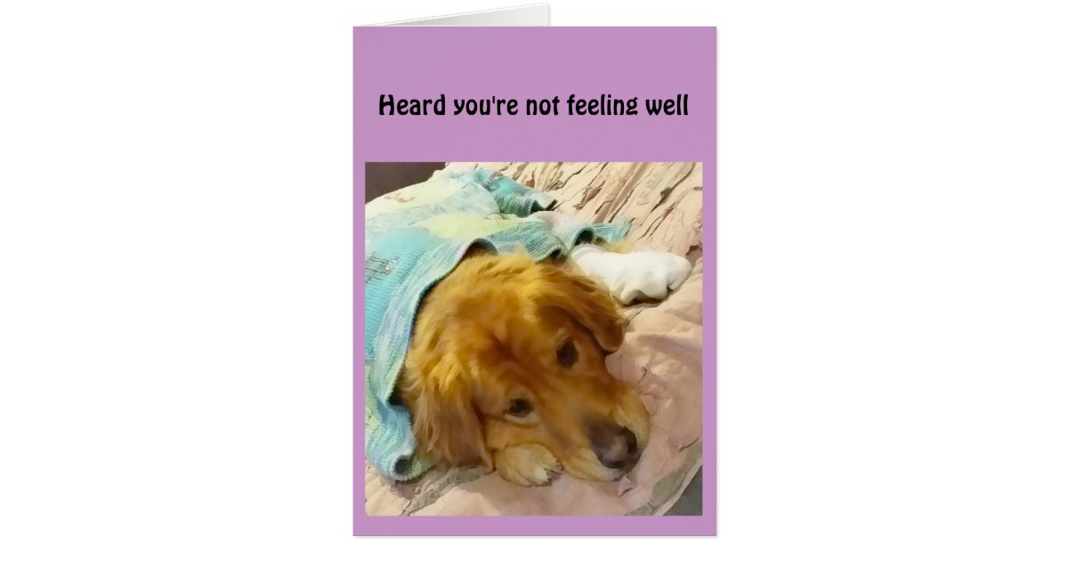 not feeling heard in a relationship not feeling heard in a relationship