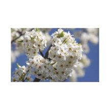 Heart Flowering Tree Canvas Prints