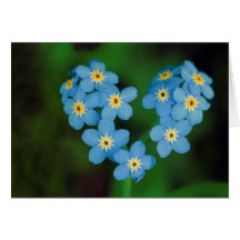Heart Shaped Forget-me-not Flowers Greeting Cards