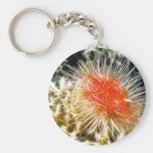 Heart Urchin Key Chains