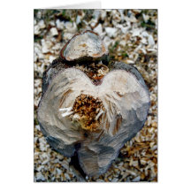 Hearts Card 5 "From the Roots"