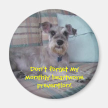 Heartworm Reminder Magnet