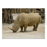Heavy Brown Rhinoceros In The Zoo Of Auckland Greeting Card