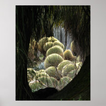Helaine's Cactus Posters