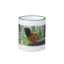 Helaine's Oriole Coffee Mugs