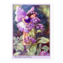 Heliotrope Fairy Postcards