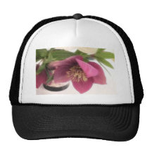Hellebores And Daffodils In Vase Mesh Hats