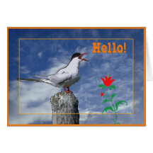 Hello card