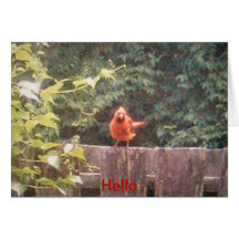 Hello Cards