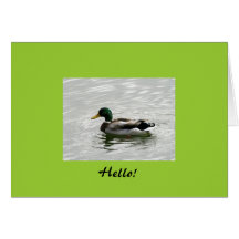 Hello Duck Greeting Card
