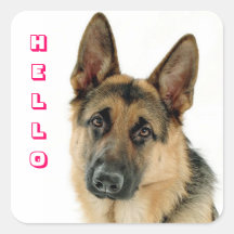 Hello German Shepherd Puppy Dog Greeting Stickers
