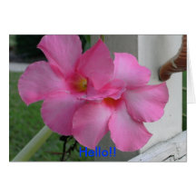 Hello Greeting Card